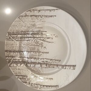 Pier One 4, Pier 1 Snow Forest Plates Birch Trees 8.5" - H